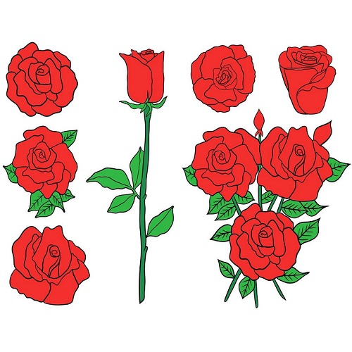 Rose Flower images